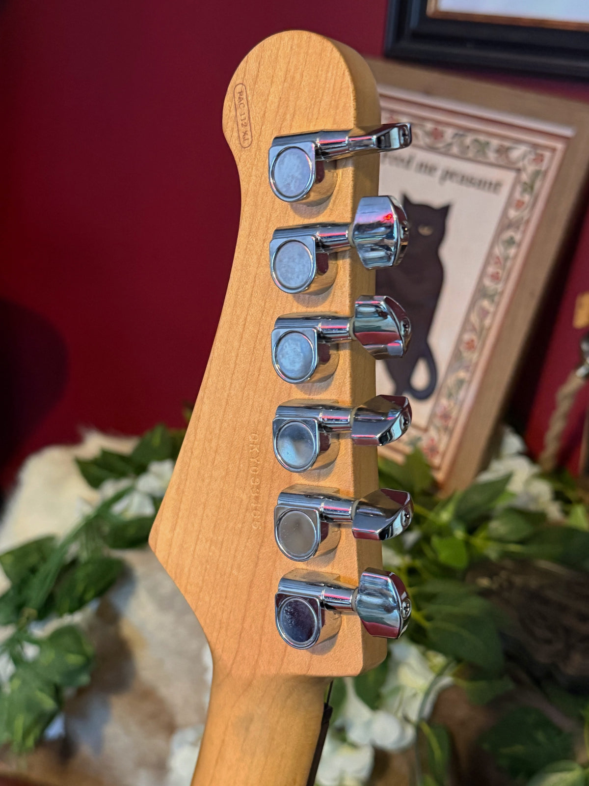Plato! - 2008 Yamaha Pacifica 112XJ