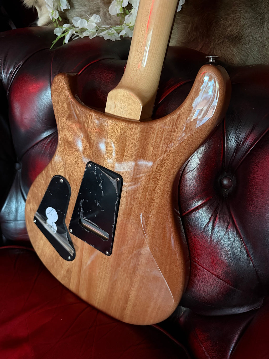 Polly! - PRS SE Custom 24-08 in Eriza Verde