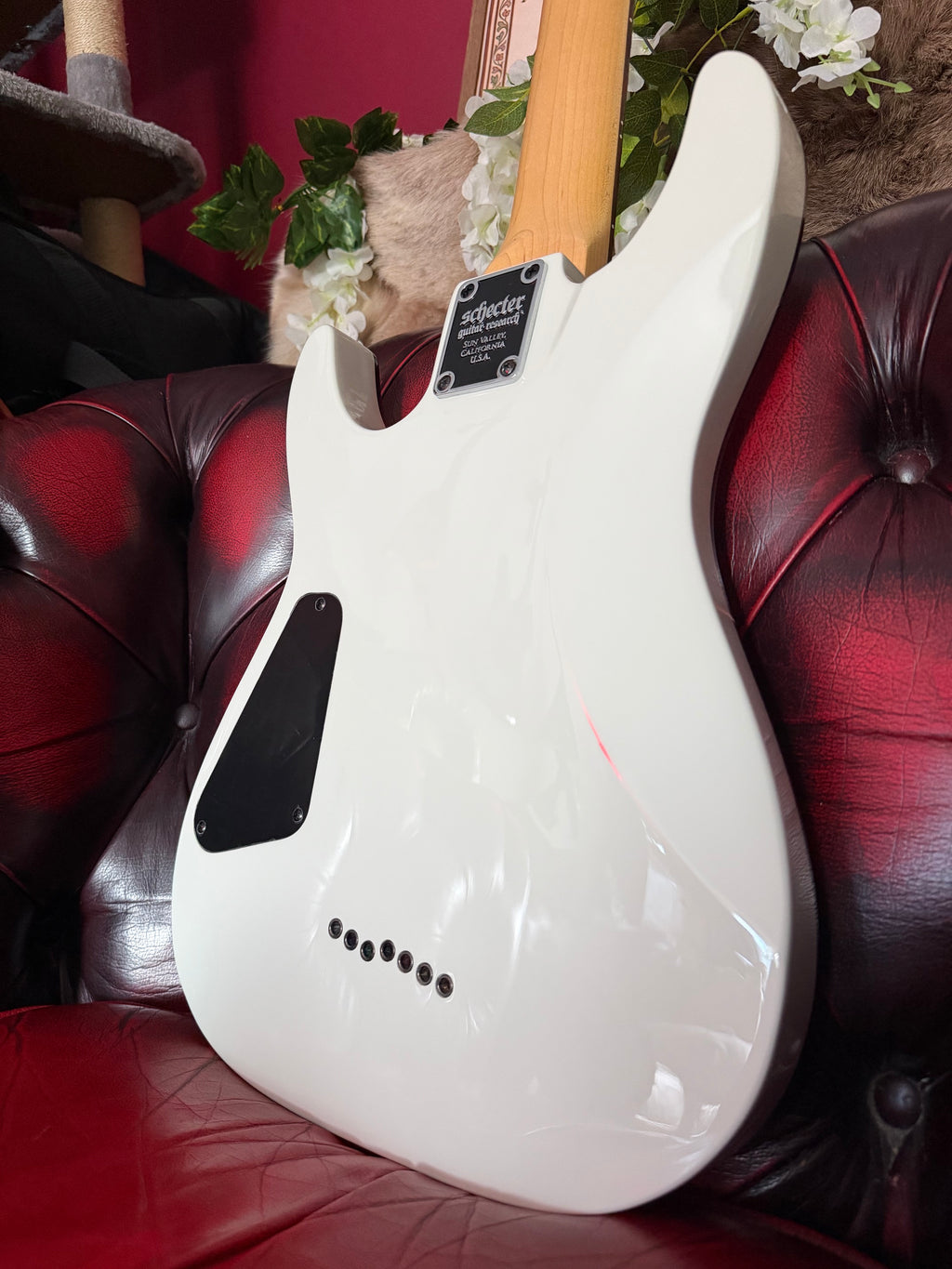 Spectre! - Schecter Omen-7