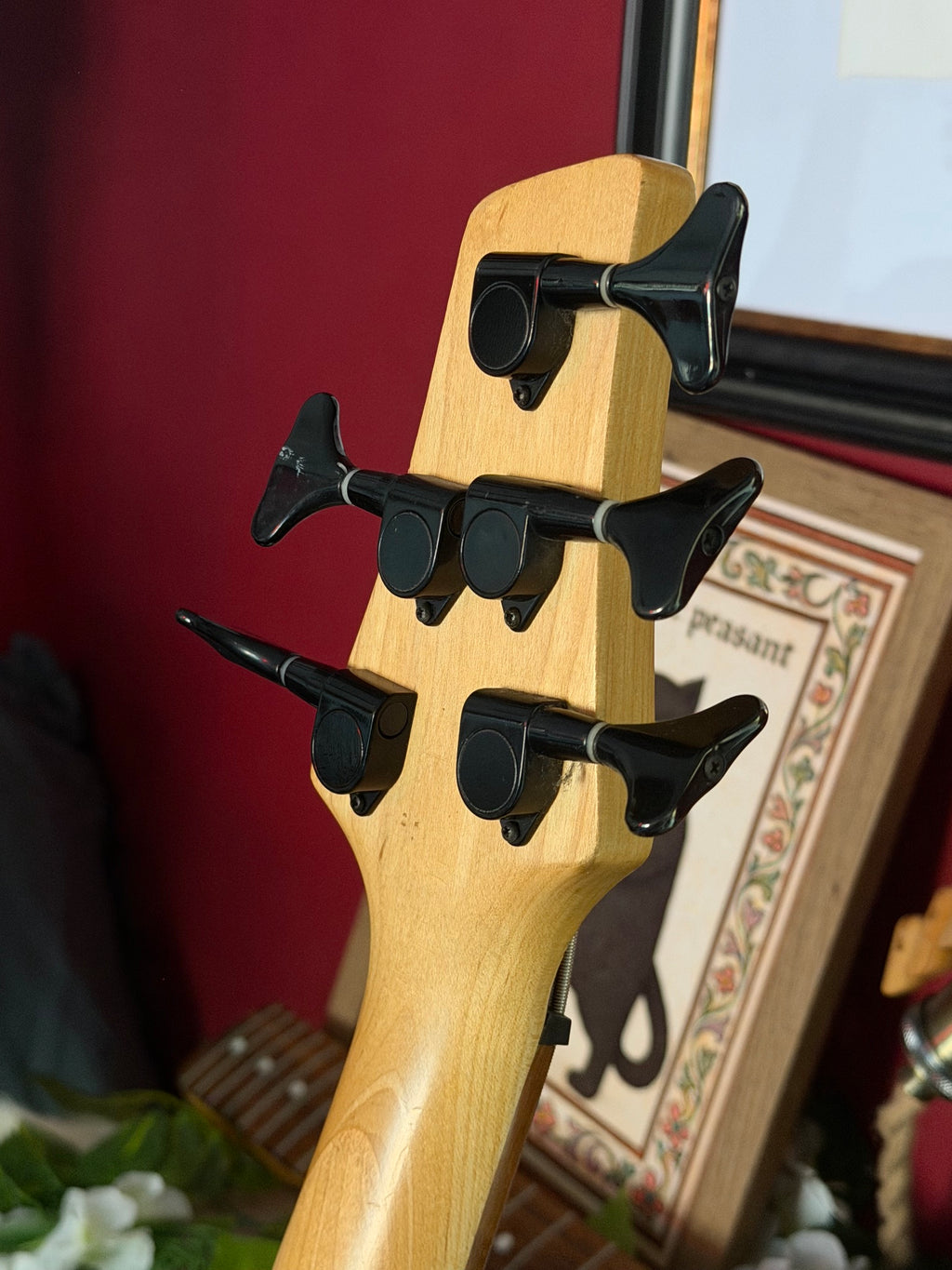 Riptide! - Vintage V950 Active 5-String Bass