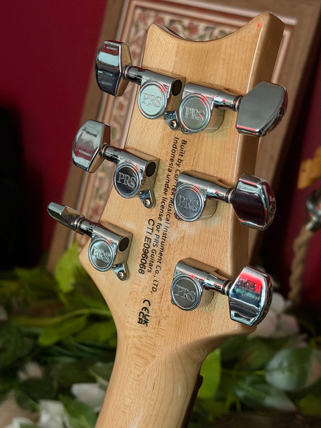 Polly! - PRS SE Custom 24-08 in Eriza Verde