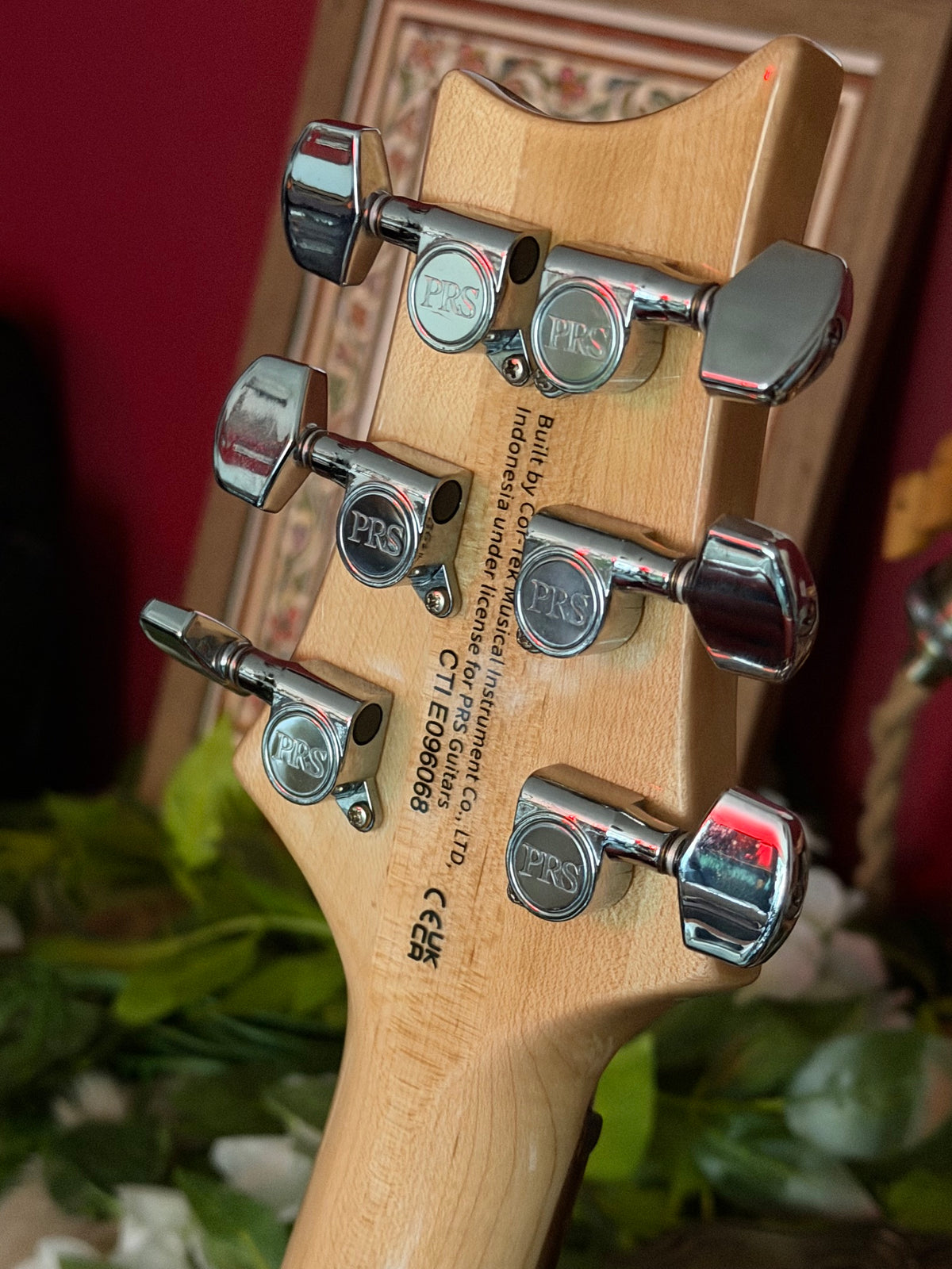 Polly! - PRS SE Custom 24-08 in Eriza Verde