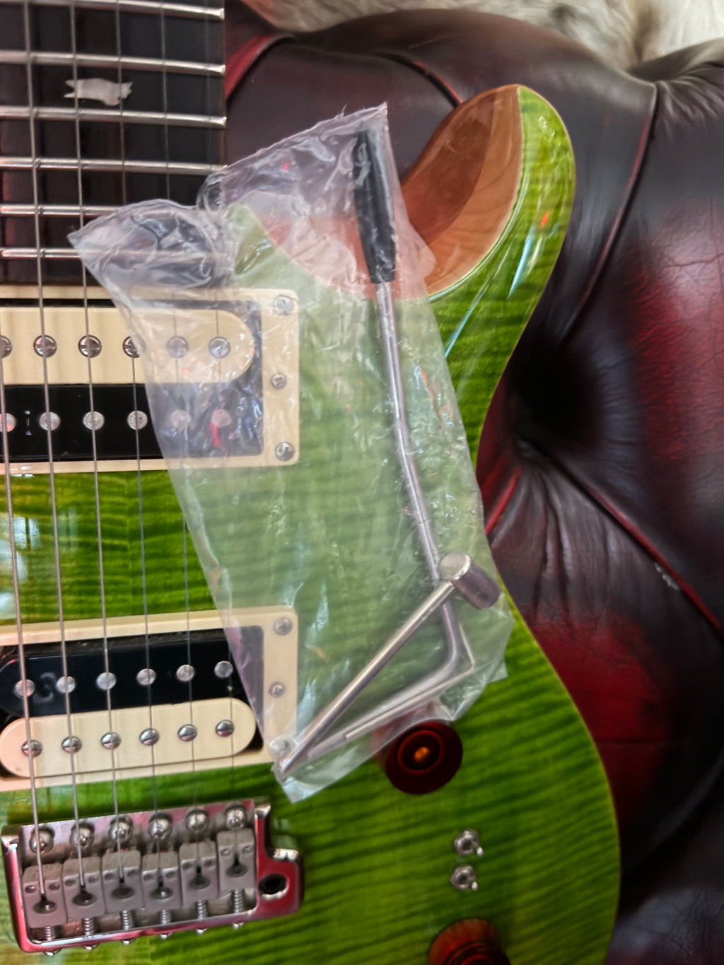 Polly! - PRS SE Custom 24-08 in Eriza Verde